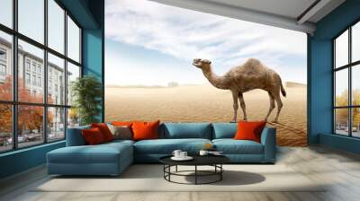 Camel standing on the sand dune Wall mural