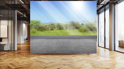 Empty room with window glass and green grass with trees Wall mural