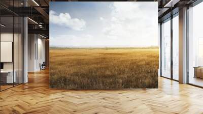 Landscape view of dry savanna Wall mural