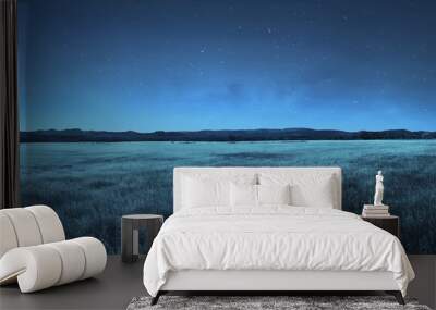 Meadow landscape at night time Wall mural