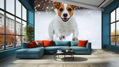 A small white and brown dog Jack Rassel running through the snow. Wall mural