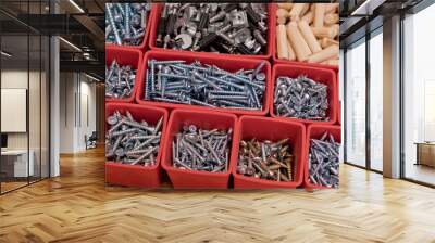 Various size and shape of screws, bolts, wooden pegs selection in red plastic tray box on a wooden background. Assembly kit for furniture. Selective focus. Wall mural