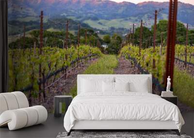 vineyard in autumn Wall mural