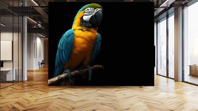 Blue and Yellow Macaw on Black Background, Realistic Photo, Texture, Pattern Background, Wallpaper, Cover and Screen for Smartphone, PC, Laptop, 9:16 and 16:9 Format Wall mural