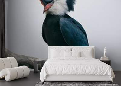 Rhinoceros Hornbill Bird, Perched on a Branch on White Background, Abstract Image, Texture, Pattern, Wallpaper, Cover and Screen of Smartphone, Cell Phone, Computer, Laptop, 9:16 and 16:9 Format Wall mural