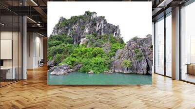 Ha Long Bay, limestone islands at Thanh pho Ha Long, Quang Ninh, Vietnam Wall mural