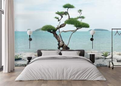 Bonsai will be successfully through the process of caring for so many countless times, including implications, cutting, bending, including care, to achieve the most beautiful bonsai trees. sea backgro Wall mural