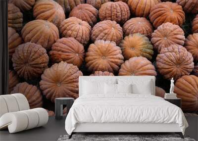 fresh healthy bio pumpkins on farmer agricultural market at autumn Wall mural