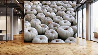 fresh healthy bio pumpkins on farmer agricultural market at autumn Wall mural