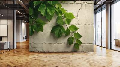 Green spring ivy on wall with copy space for text Wall mural