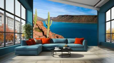 Aerial panoramics from Espiritu Santo Island, Baja California Sur, Mexico. Wall mural