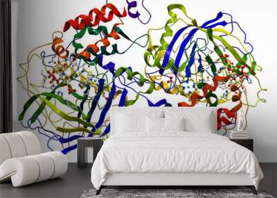 enzyme catalase, a very important antioxidant in organism Wall mural