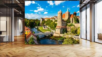 View of Bautzen and the Hauptspree River in Germany Wall mural