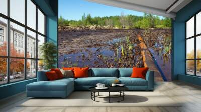 Nature pollution by oil products Wall mural