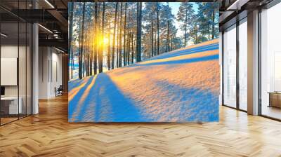 Sunset in winter forest Wall mural