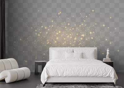 Magical light dust, dusty shine. Flying particles of light. Christmas light effect. Sparkling particles of fairy dust glow in transparent background. Vector illustration on png. Wall mural