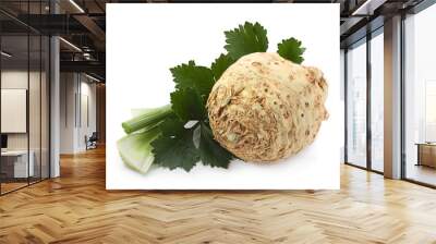 celery root on white Wall mural