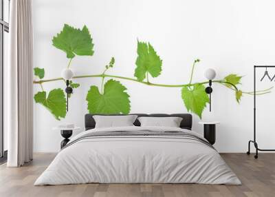 Grape fresh leaf closeup Wall mural