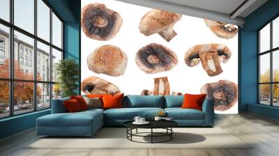 Grilled mushroom on white Wall mural