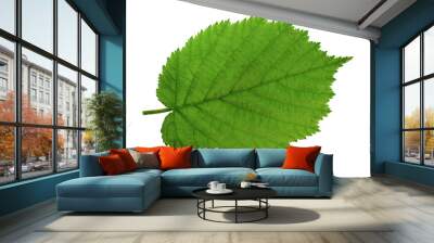 Haselnut leaf closeup Wall mural