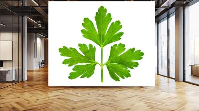 Parsley leaf Wall mural