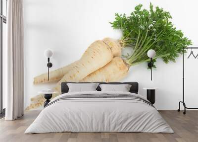 Parsnip root with leaf Wall mural