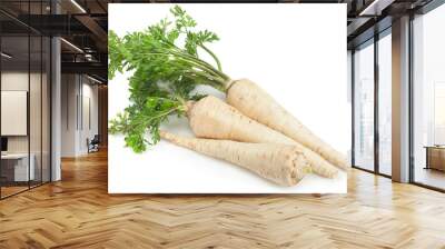 Parsnip root with leaf Wall mural