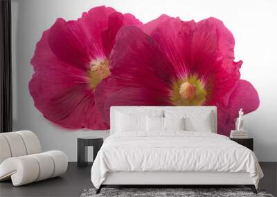 Purple hollyhock flower closeup Wall mural