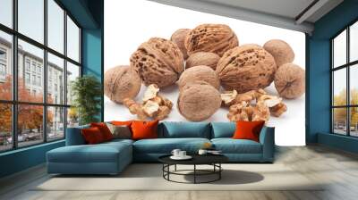 Walnut fruit on white Wall mural