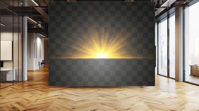 Sunrise png. Vector transparent light beams. Light png. Special flash light effect. Glowing sunbeams effect, bright sun. Decor element isolated on transparent background. Wall mural