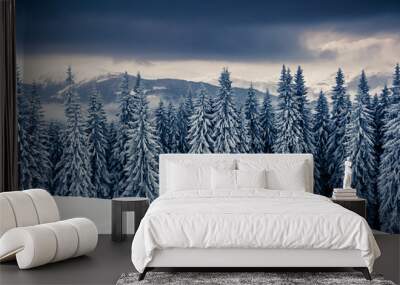 Amazing winter landscape Wall mural