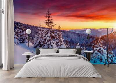 Amazing winter landscape Wall mural