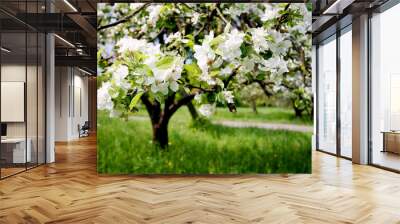 apple tree Wall mural