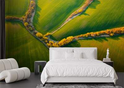 Bird's eye view of abstraction agricultural area and green wavy fields in sunny day. Wall mural