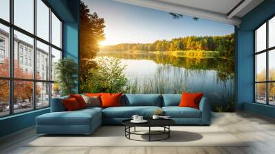 Fabulous views of untouched wildlife and a magical lake at dawn. Wall mural