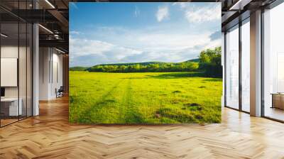 Fantastic rural area with fresh green pasture and blue sky on a sunny day. Wall mural