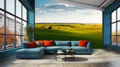 Idyllic green wavy field and blue sky with clouds background. Wall mural