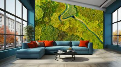 Marvelous view of winding river in green field. Lush wetlands of bird's eye view. Wall mural