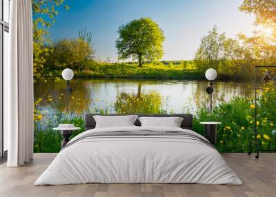 Perfect spring scene and morning meadow near the river with alone tree on the shore. Wall mural