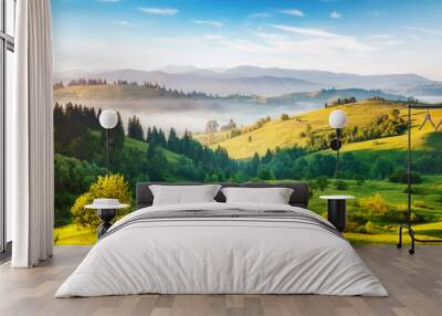 Splendid summer landscape of a rolling countryside on a sunny day. Wall mural