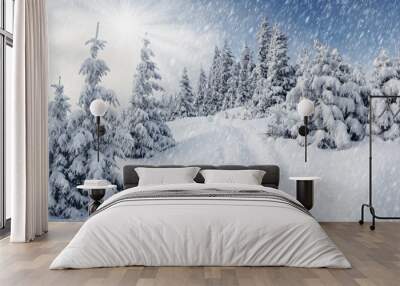 winter in mountains Wall mural