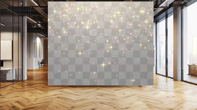 Vector magical light dust, dusty shine. Flying particles of light. Christmas light effect. Sparkling particles of fairy dust glow in transparent background. Vector illustration on png Wall mural