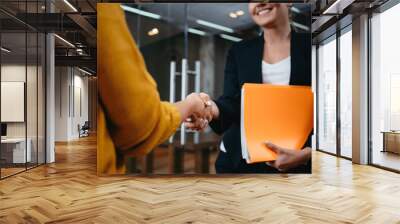 Handsome business women handshaking after succsessful deal. Positive working moment. Happy business people partnership handshake meeting concept Wall mural