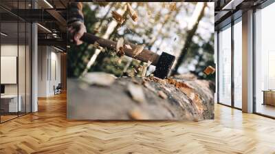 Strong lumberjack cuts tree, wood chips fly apart Wall mural