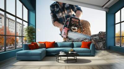 Strong professional logger in plaid shirt sawing tree with chainsaw, sawdust flay appart Wall mural