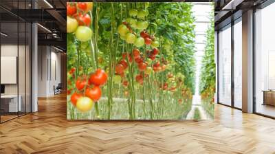 tomatoes Wall mural