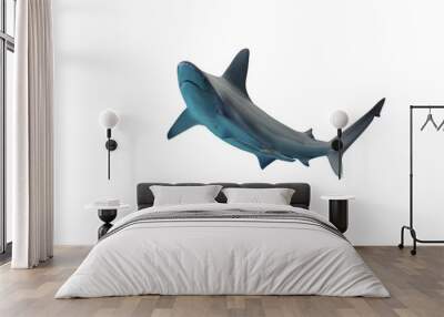 Shark isolated on white background Wall mural