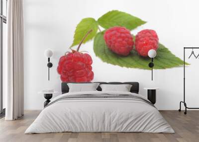 Raspberry Wall mural