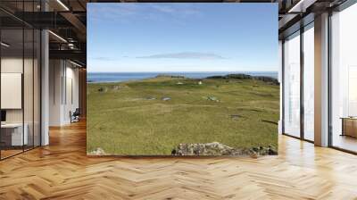 Papey island landscape, Iceland. Wall mural