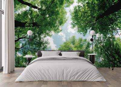 Trees in forest from below, green tops of trees, blue sky background Wall mural